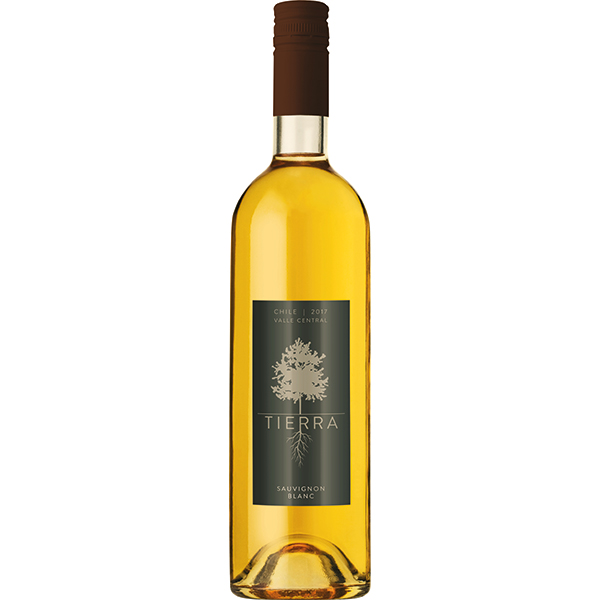 TIERRA SAUVIGNON BLANC 75x12